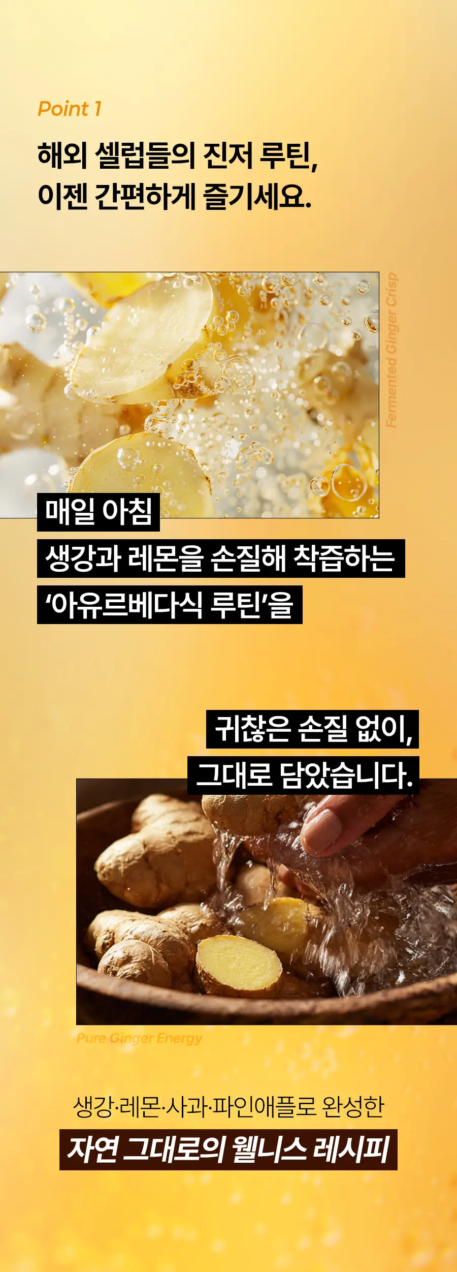 푸드올로지 발효 진저 크리스피 2gX20포 상세페이지 9