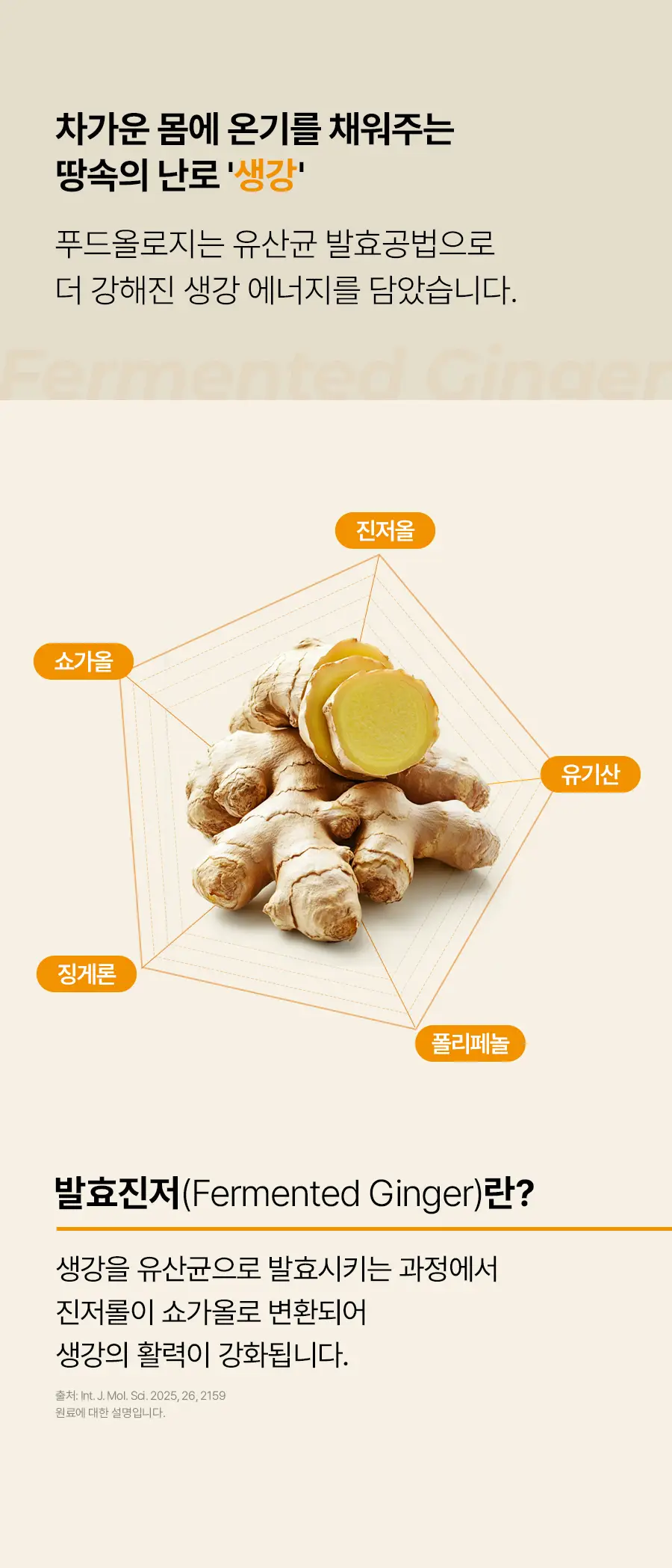 푸드올로지 발효 진저 크리스피 2gX20포 상세페이지 11