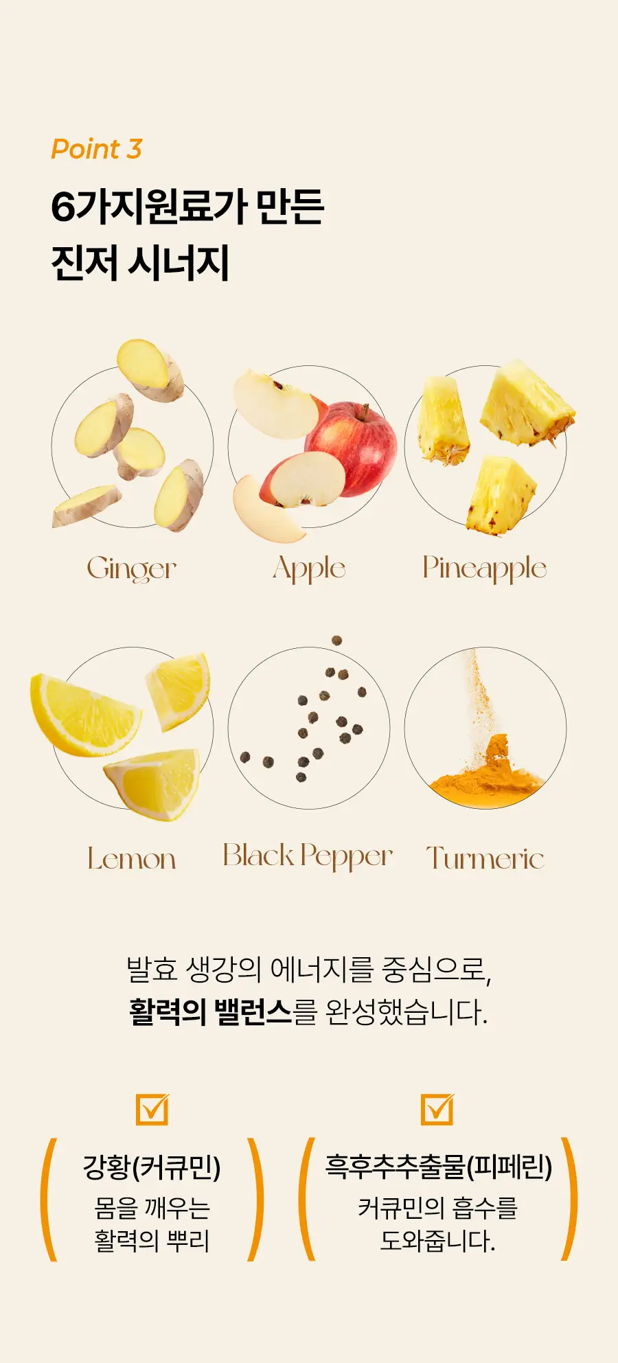 푸드올로지 발효 진저 크리스피 2gX20포 상세페이지 12