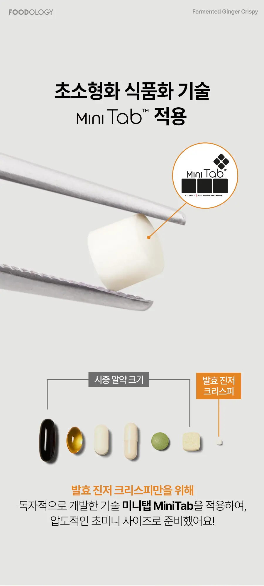 푸드올로지 발효 진저 크리스피 2gX20포 상세페이지 15