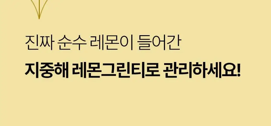 푸드올로지 지중해 레몬그린티 6g X 15포 (15일분) 상세페이지 22