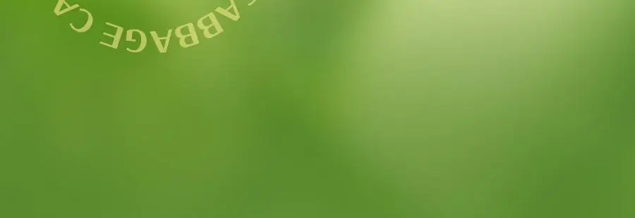 푸드올로지 톡스올로지/그린올로지 클렌즈 48시간 3종 택 1 상세페이지 67
