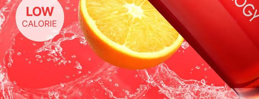 푸드올로지 티 워터 히비스커스맛 500ml 상세페이지 2
