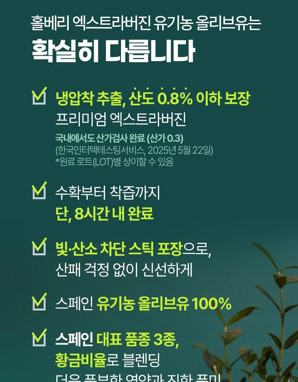 홀베리 유기농 엑스트라버진 올리브오일 10ml 14포 상세페이지 11
