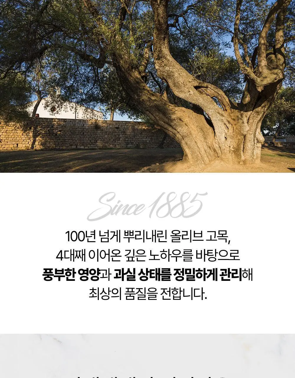 홀베리 유기농 엑스트라버진 올리브오일 10ml 14포 상세페이지 24