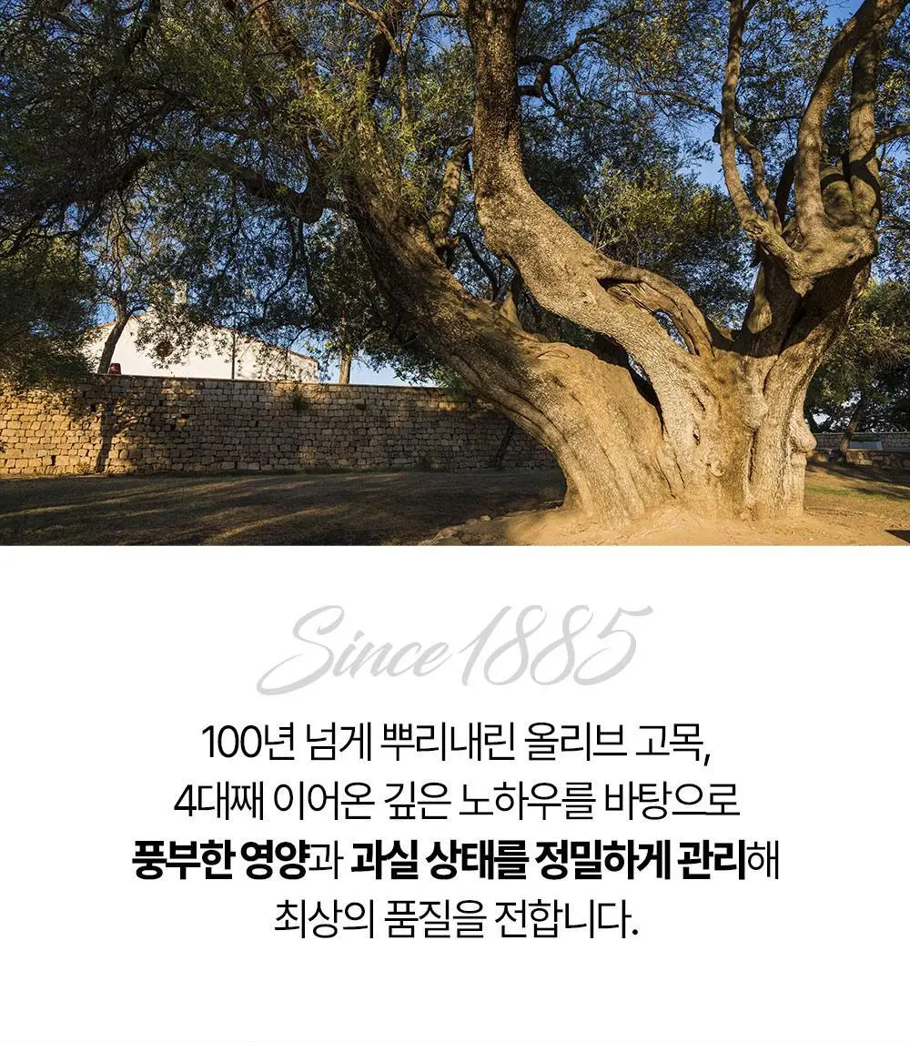 홀베리 유기농 올레샷 2박스 상세페이지 32