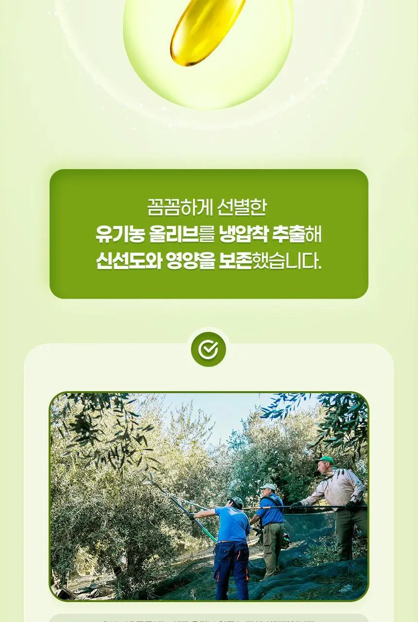 GNM 올리브오일 엑스트라버진 식물성캡슐 1박스 상세페이지 16