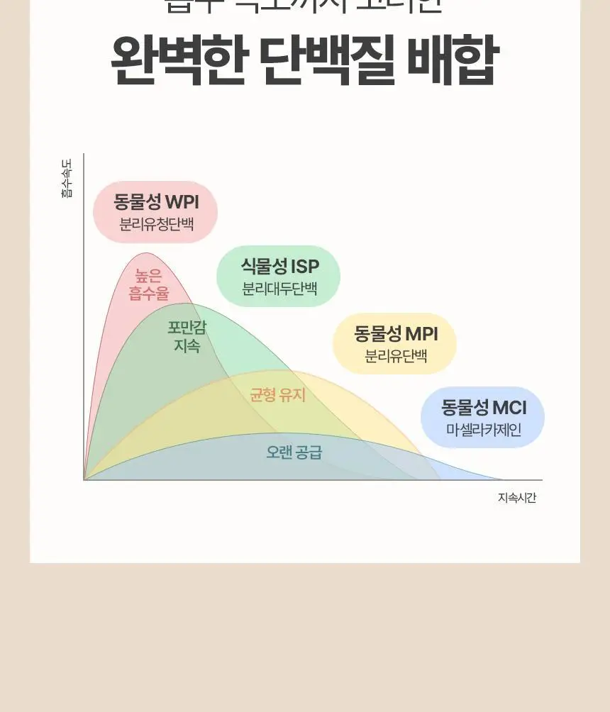 글로틴 화잘먹 단백질쉐이크 50g 초코 상세페이지 22