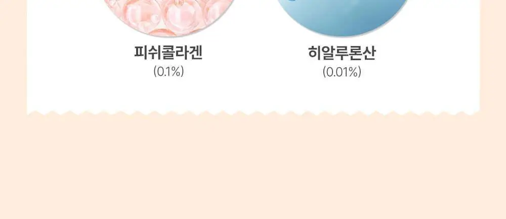 뉴베러 슬림 베어 쉐이크 초코 600g 상세페이지 19