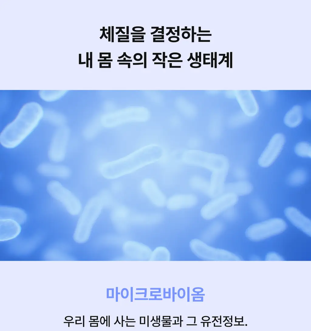 니아르 쉐이킷 단백질 쉐이크 45g 5개입 (아사이베리맛/초코맛) 상세페이지 8