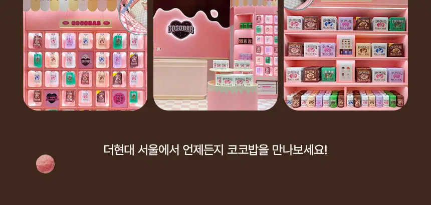 라이프비 코코밥 단백질쉐이크 50g 곡물 상세페이지 2