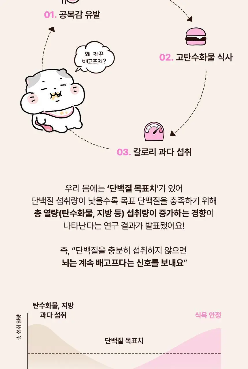 라이프비 코코밥 단백질쉐이크 50g 커피맛 상세페이지 14