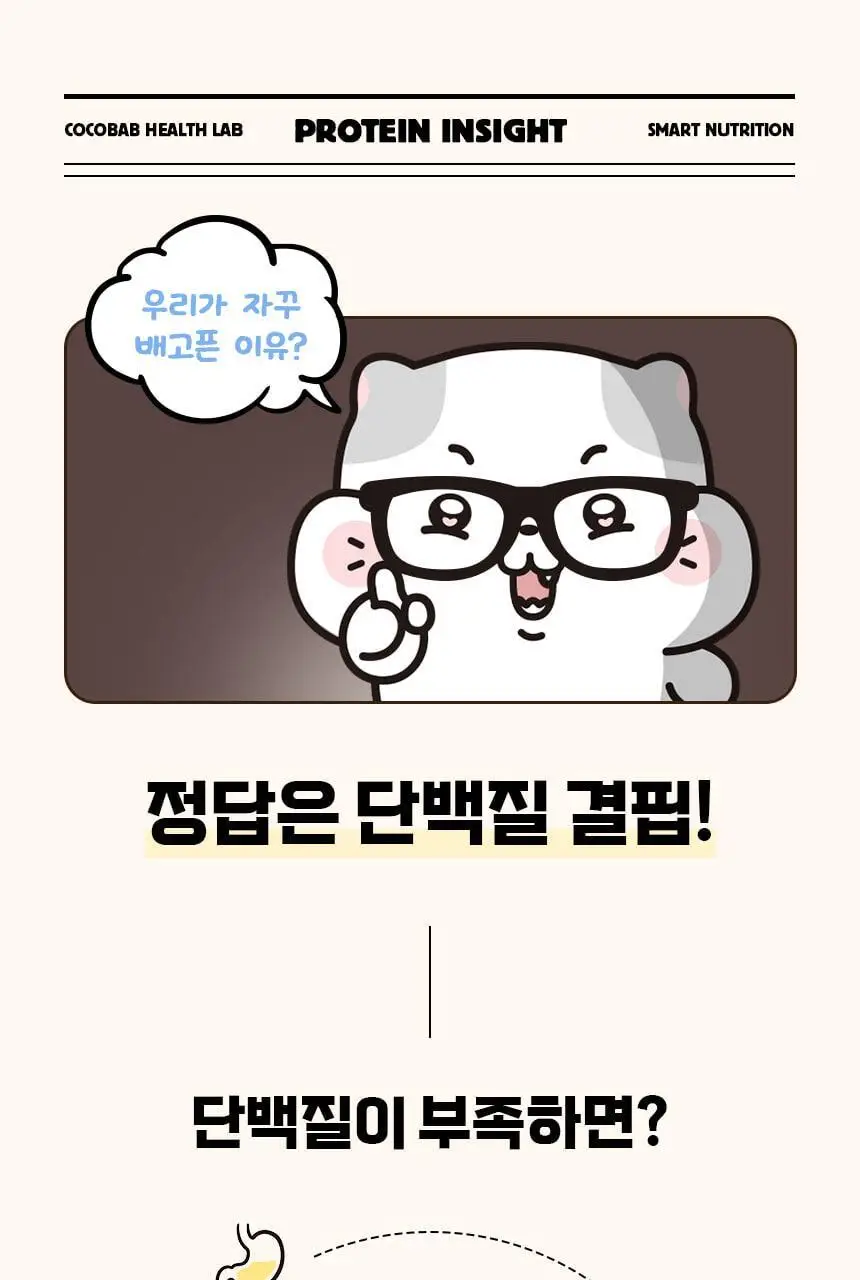 라이프비 코코밥 단백질쉐이크 50g 7개입 8종 택1 상세페이지 14