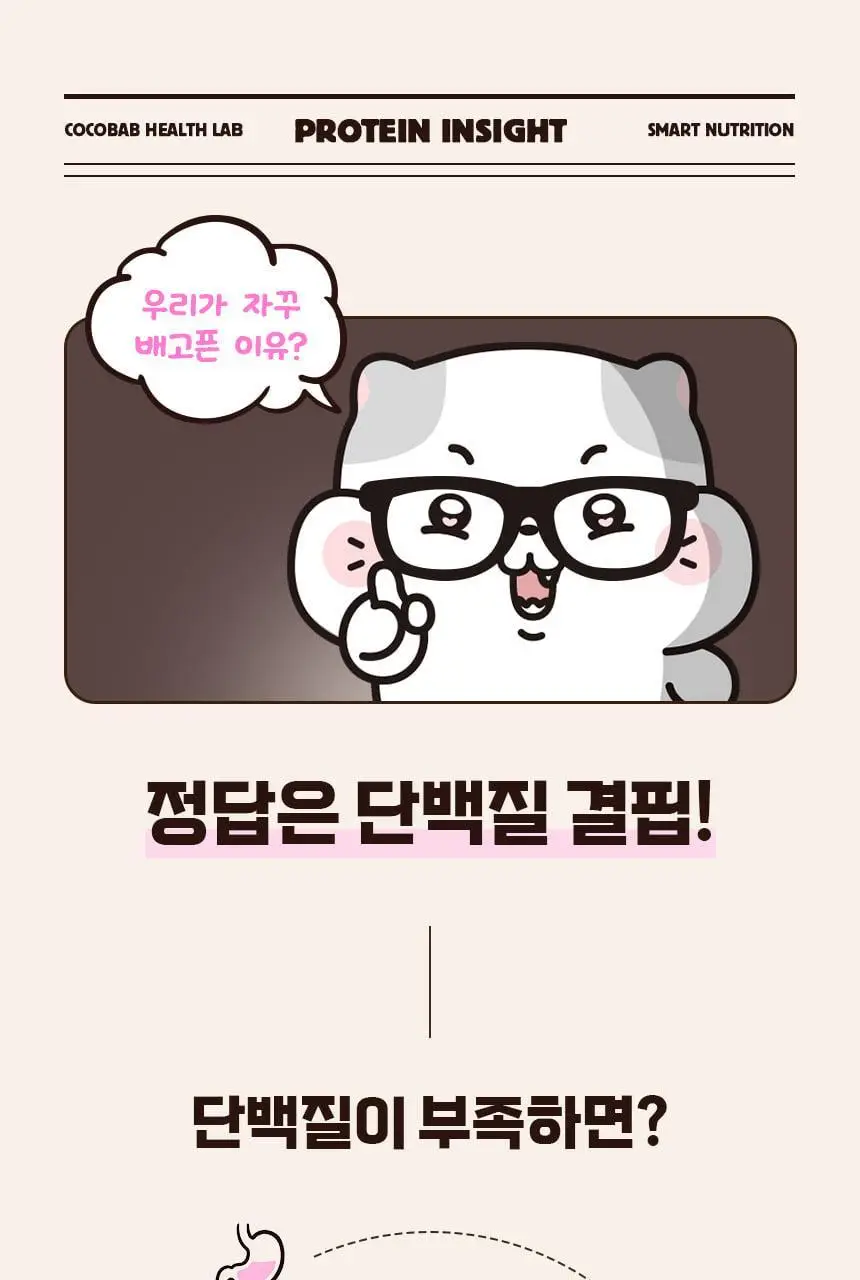라이프비 코코밥 단백질쉐이크 50g 7개입 8종 택1 상세페이지 46