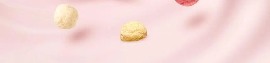 라이프비 코코밥 단백질쉐이크 50g 7개입 8종 택1 상세페이지 74
