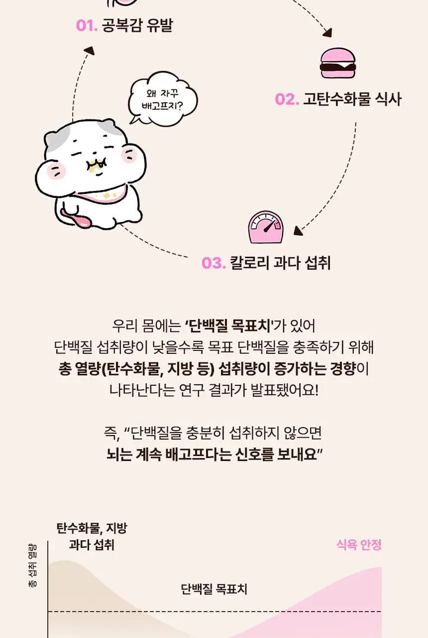 라이프비 코코밥 단백질쉐이크 50g 8종 택1 상세페이지 14
