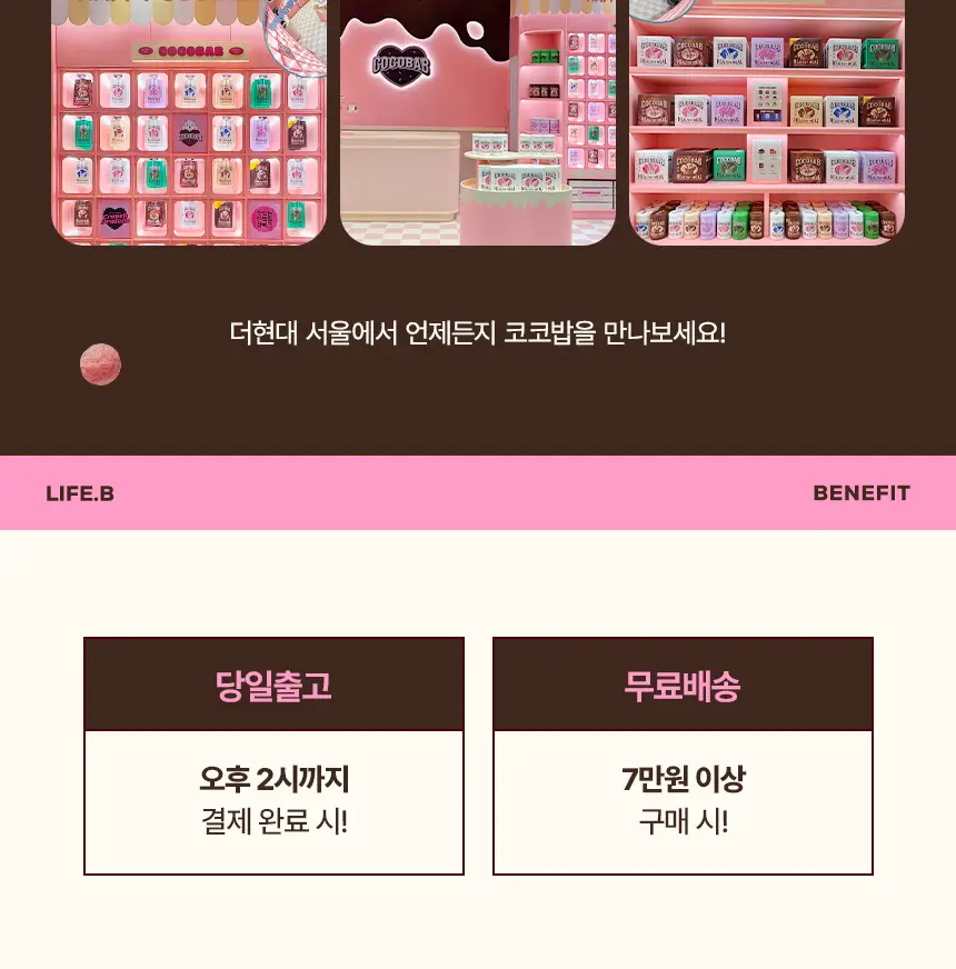 라이프비 코코밥 단백질쉐이크 600g 대용량 6종 택1 상세페이지 2