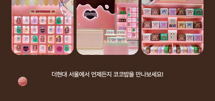라이프비 코코밥 단백질쉐이크 60g 더블 초코 상세페이지 2