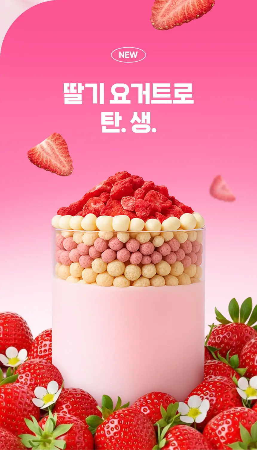 라이프비 코코밥 600g 딸기 요거트 상세페이지 4