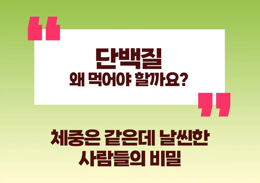 바지오 단백질 쉐이크얌 45g 4종 택1 상세페이지 16