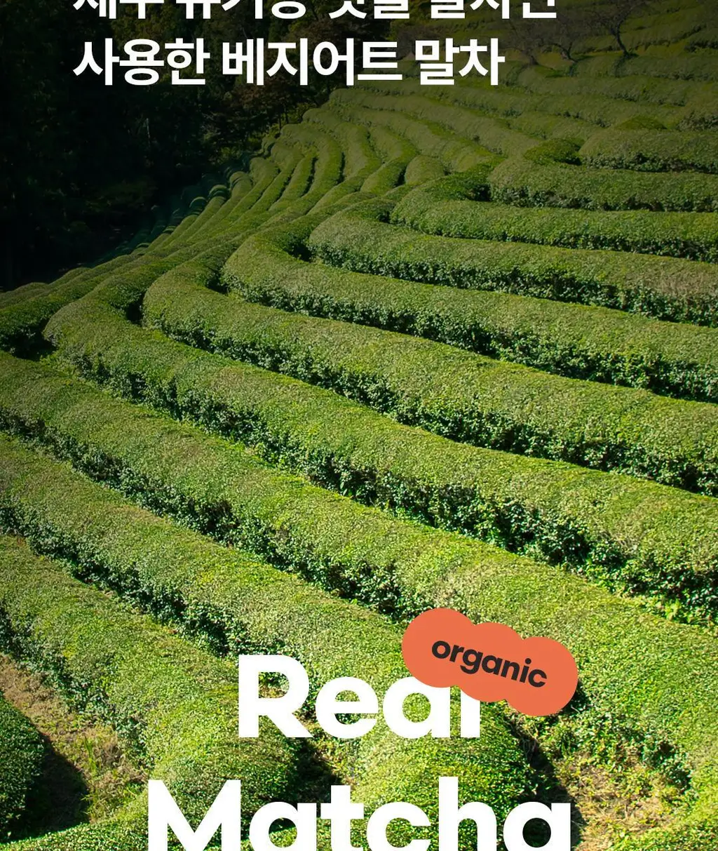 베지어트 식물성 단백질쉐이크 810g 4종 택 1 상세페이지 29