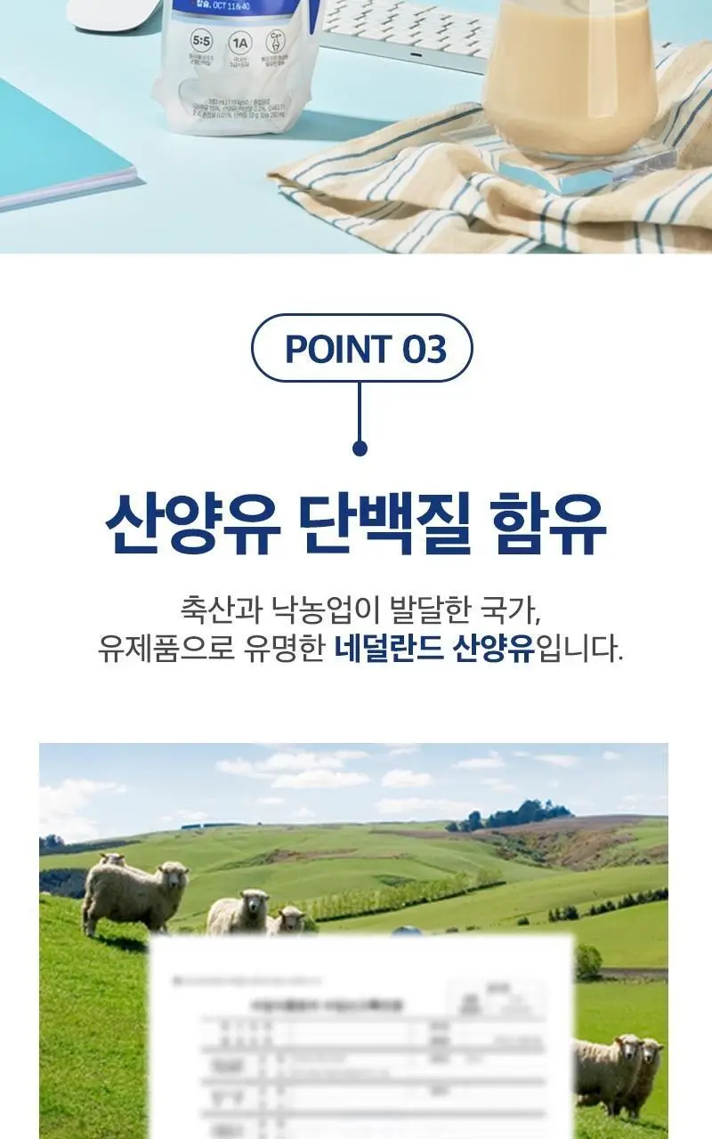 비락 퍼펙트프로틴 12EA/BOX 상세페이지 6