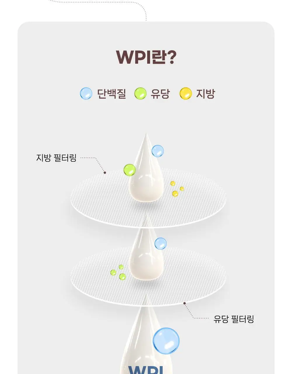 셀렉스 프로핏 초콜릿 파우더 2kg (전용 스푼 포함) /100% WPI 상세페이지 9