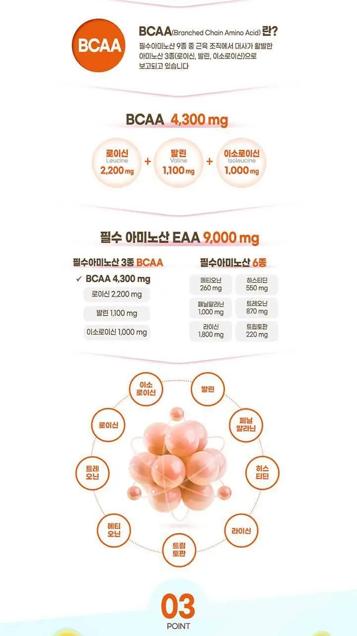 테이크핏 맥스 단백질 음료 초코맛 250ml 상세페이지 7