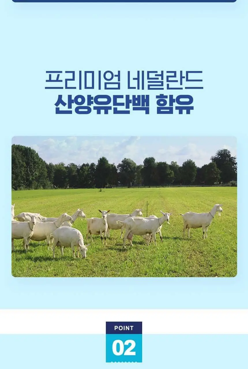 하이뮨 프로틴 밸런스 스틱 19g 10포 10박스 (50일분) 상세페이지 8