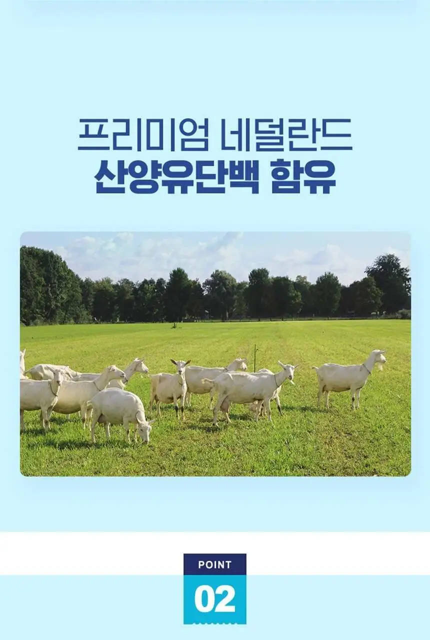 하이뮨 프로틴 밸런스 304g 2캔 (16일분) (전용 스푼+보틀) 상세페이지 8