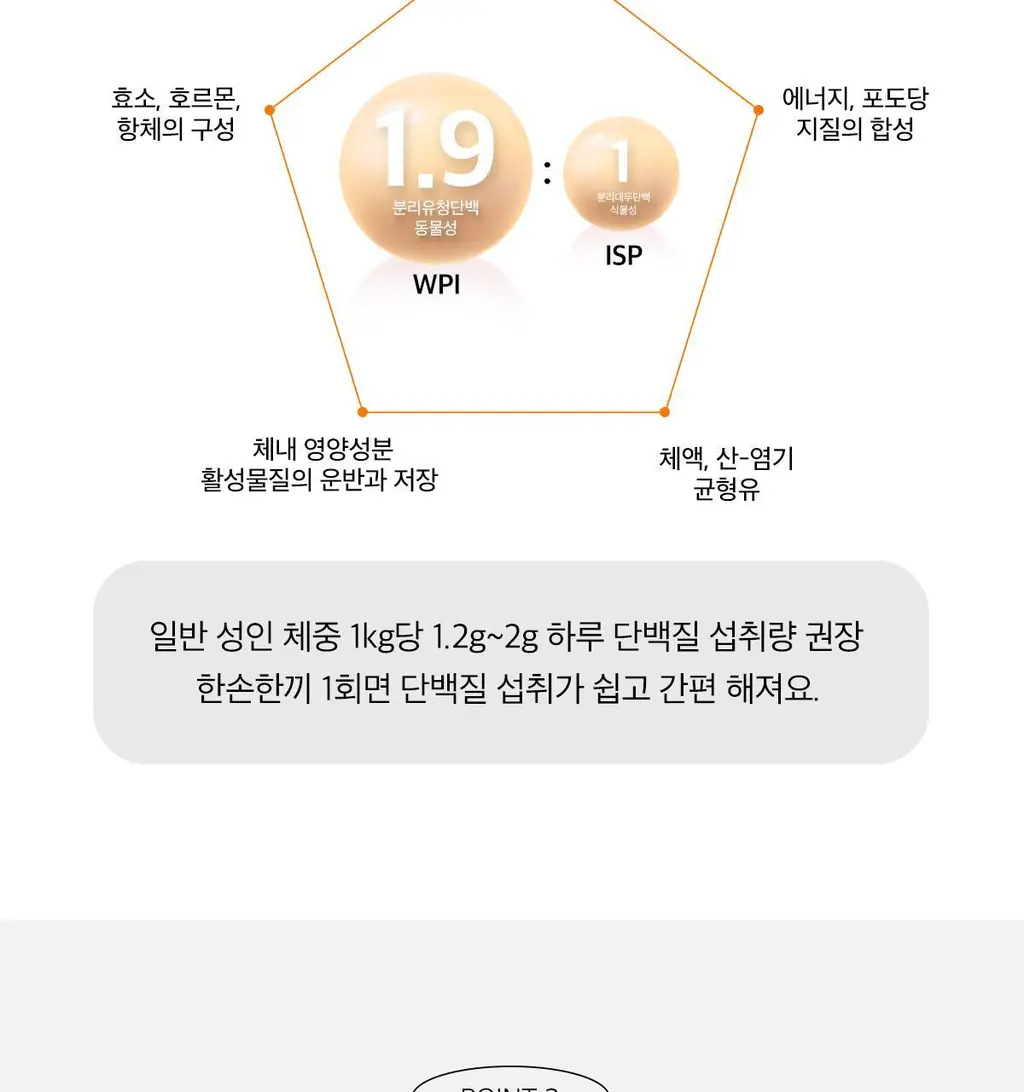한손한끼 Petit 단백질쉐이크 대용량 490g 4종 택1 (초코/피스타치오초코/딸기/곡물) 상세페이지 53
