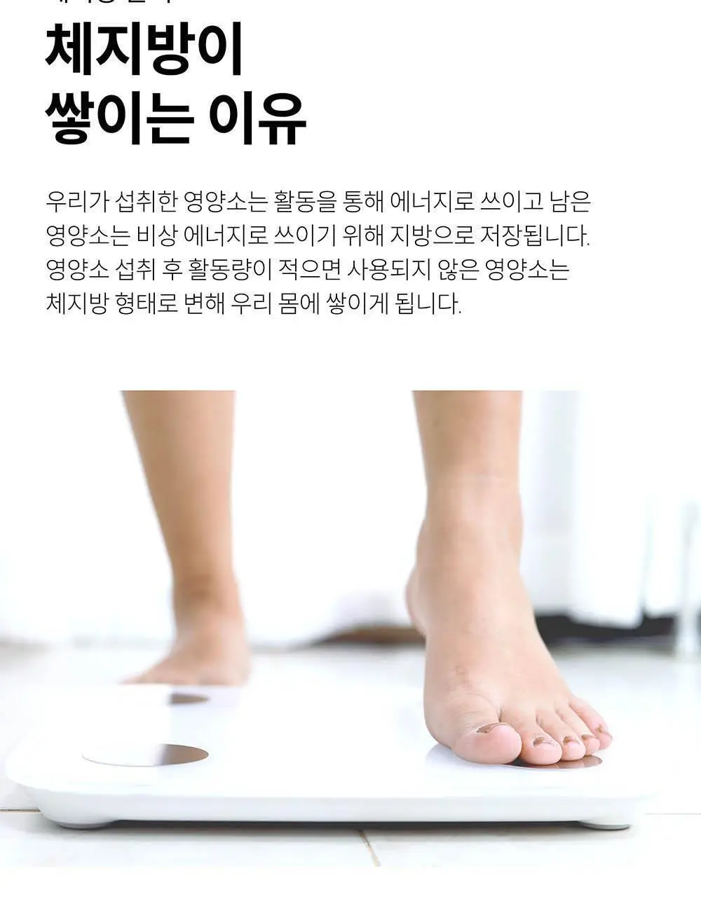 BNR17 비에날씬 프로틴 1포 (1회분) 상세페이지 27