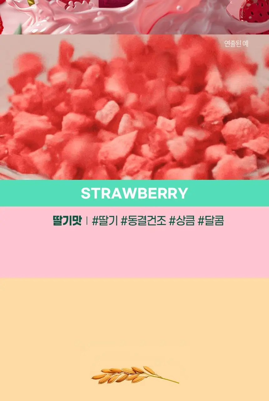 NS프로틴 프로틴쉐이크 45g 초코맛 상세페이지 24