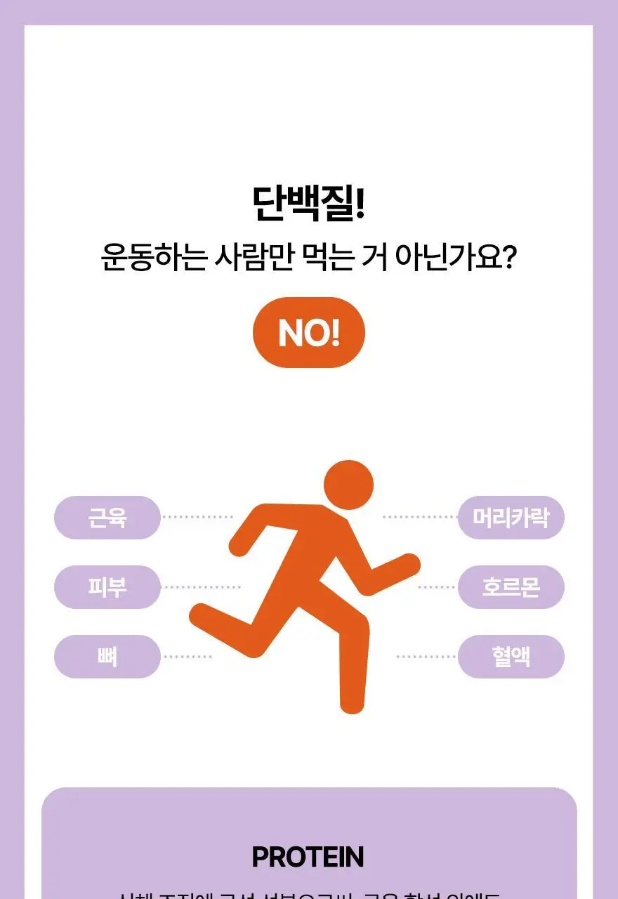 밀스 프로틴 바 50g 2종 중 선택 1 상세페이지 19