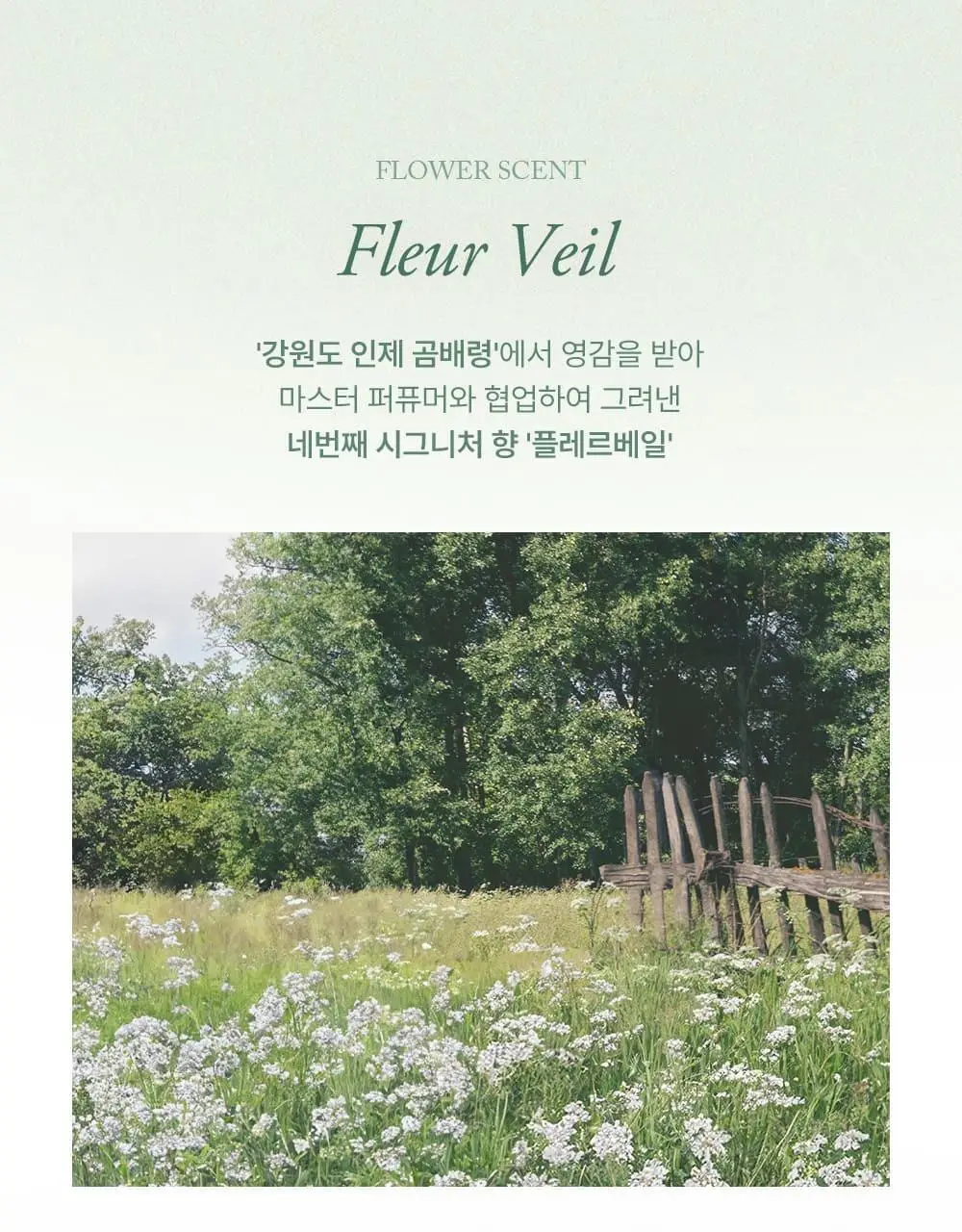 슬로우허밍 플라워너리 릴리프 퍼퓸밤 플레르베일 상세페이지 2