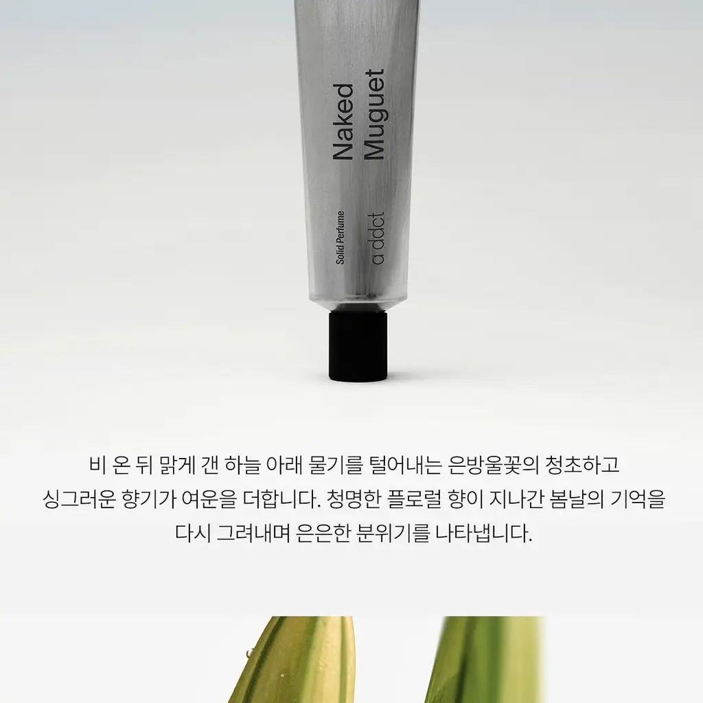 에이딕트 솔리드 퍼퓸 네이키드 뮤게 313 30ml 상세페이지 5
