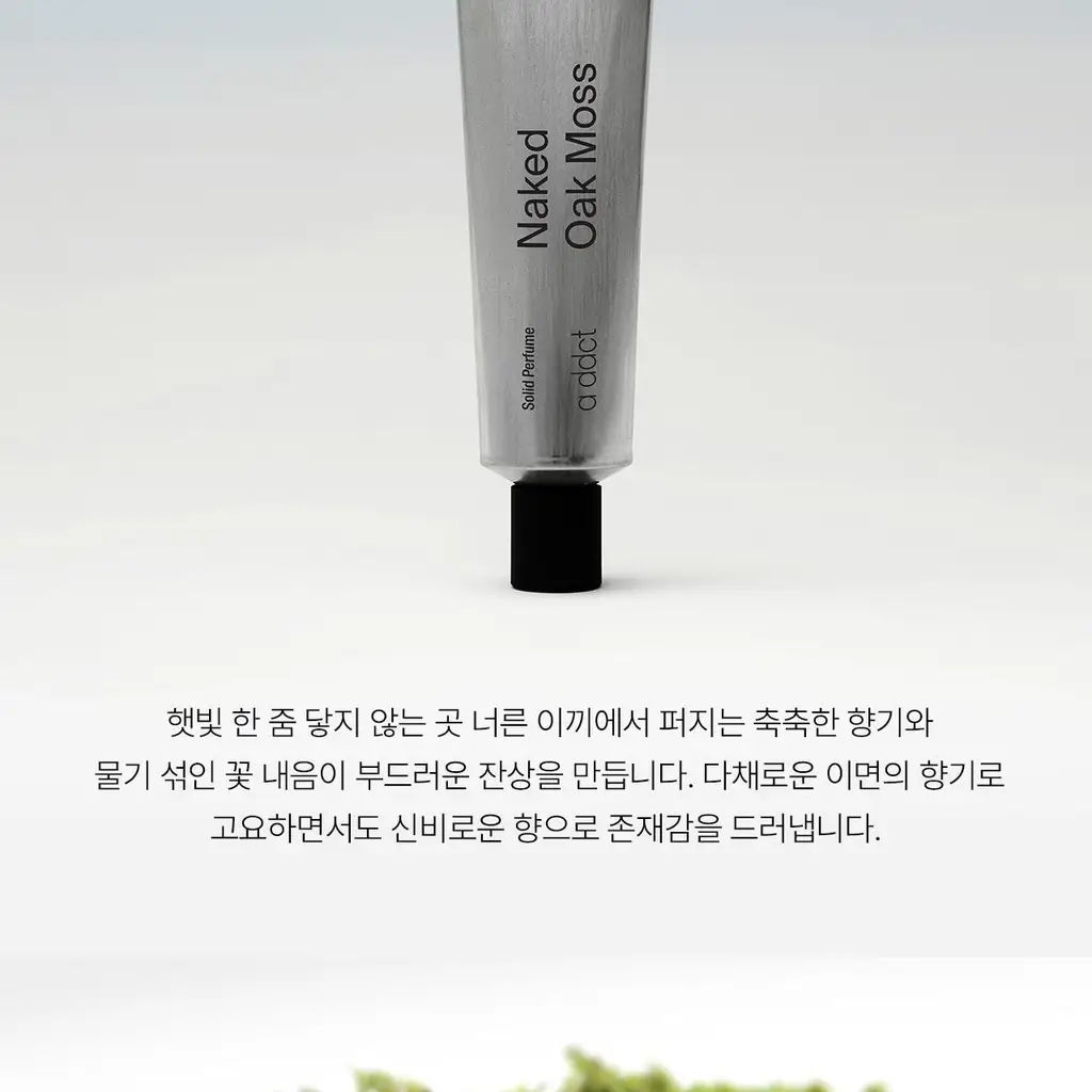 에이딕트 솔리드 퍼퓸 네이키드 오크모스 501 30ml 상세페이지 5