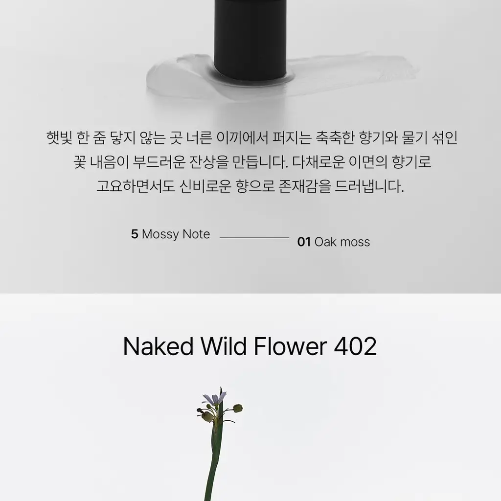에이딕트 솔리드 퍼퓸 6종 택1 상세페이지 16