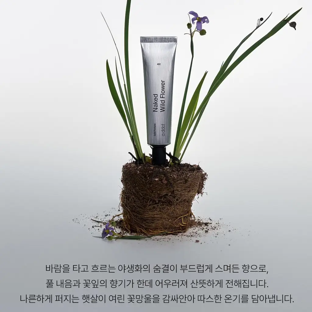 에이딕트 솔리드 퍼퓸 6종 택1 상세페이지 17