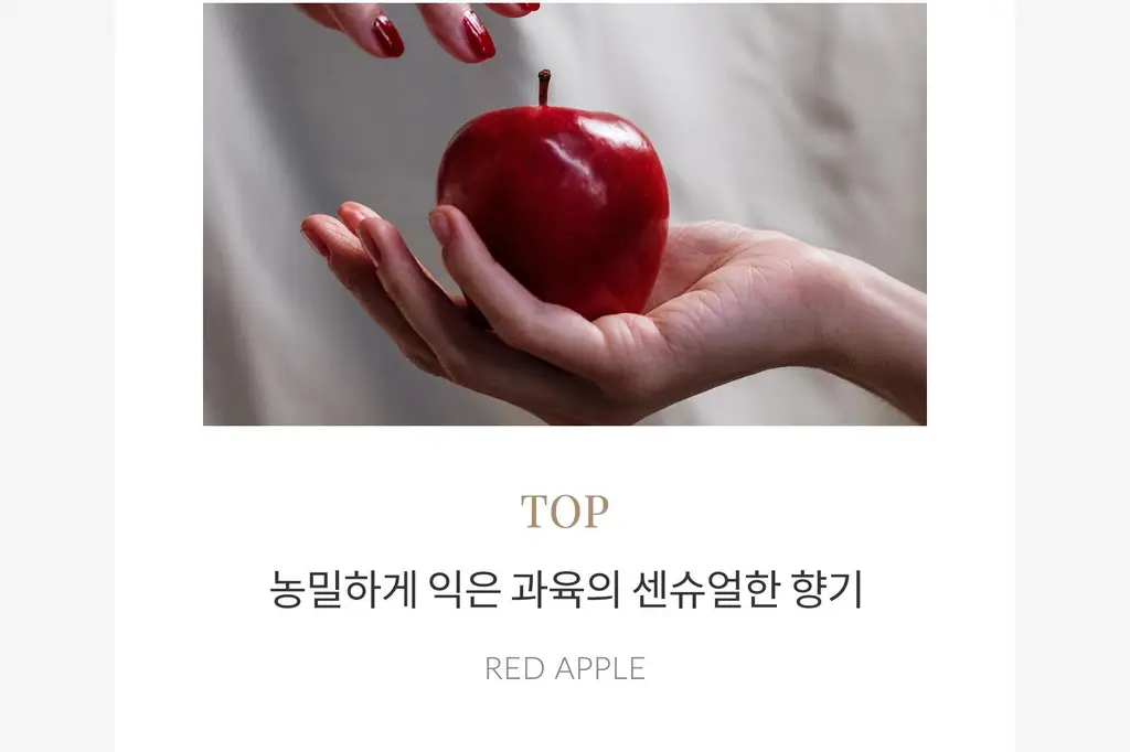 탐니크 러셀브 솔리드 퍼퓸 우먼 30ml 상세페이지 33
