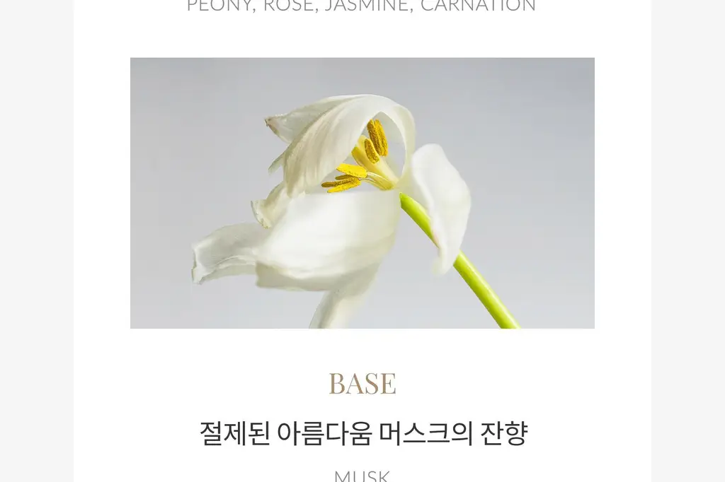 탐니크 러셀브 솔리드 퍼퓸 우먼 30ml 상세페이지 35
