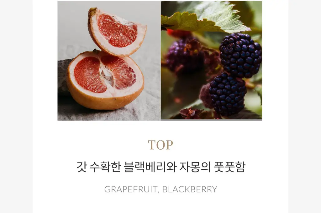 탐니크 러셀브 솔리드 퍼퓸 우먼 30ml 상세페이지 42