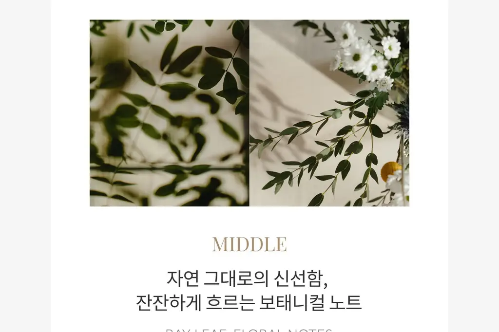 탐니크 러셀브 솔리드 퍼퓸 우먼 30ml 상세페이지 43