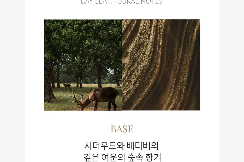 탐니크 러셀브 솔리드 퍼퓸 우먼 30ml 상세페이지 44