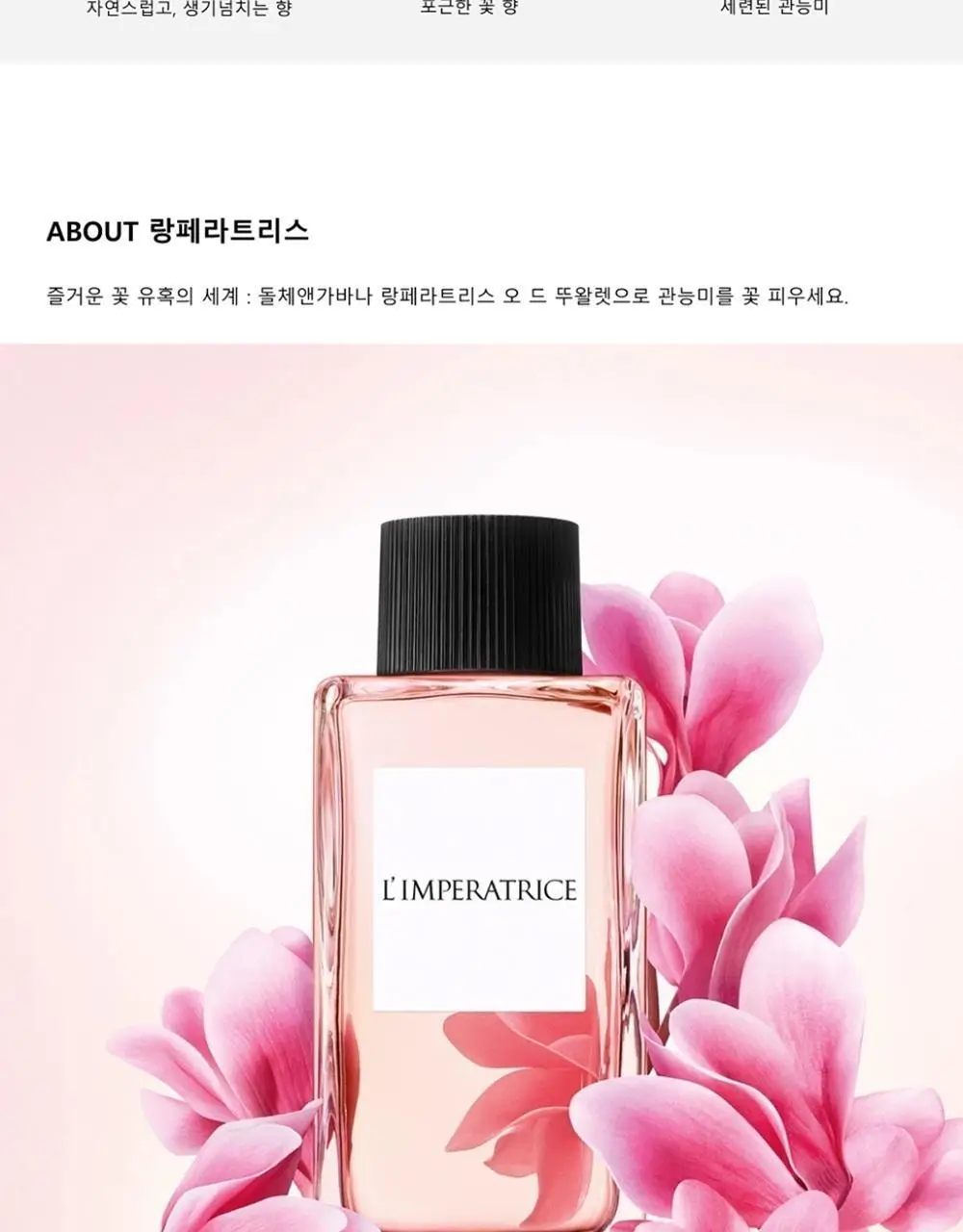 돌체앤가바나 랑페라트리스 EDT 50ml+1.5ml 기획 세트 상세페이지 3