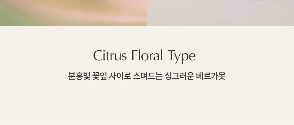 루아페 EDP 디스커버리 세트 (5ml *5ea) 상세페이지 10