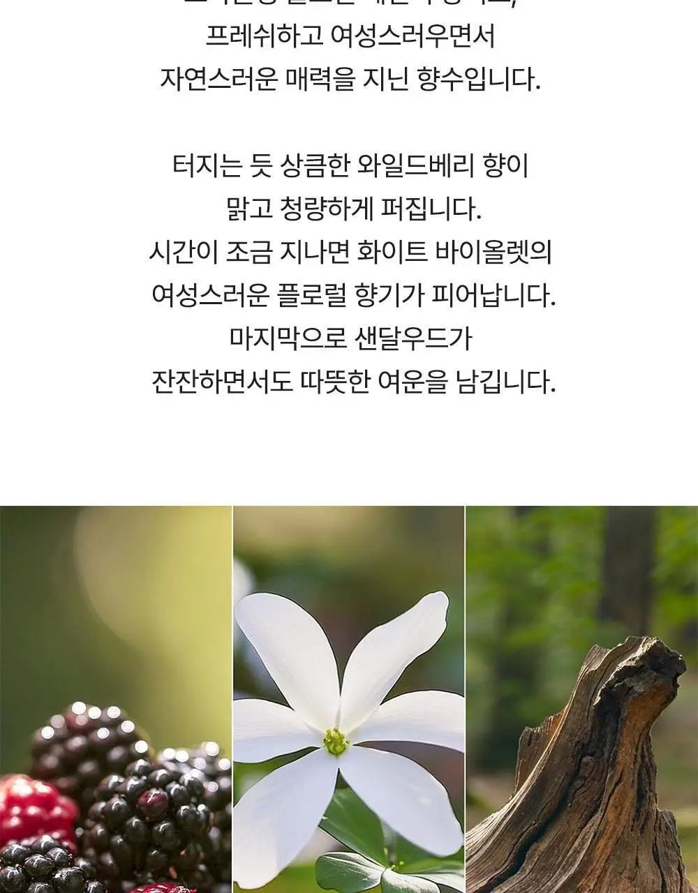 마크제이콥스 10ml 트리오 기획(데이지 EDT+와일드 EDP+와일드 인텐스 EDP) 상세페이지 7