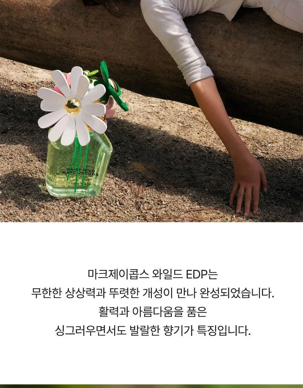 마크제이콥스 10ml 트리오 기획(데이지 EDT+와일드 EDP+와일드 인텐스 EDP) 상세페이지 15