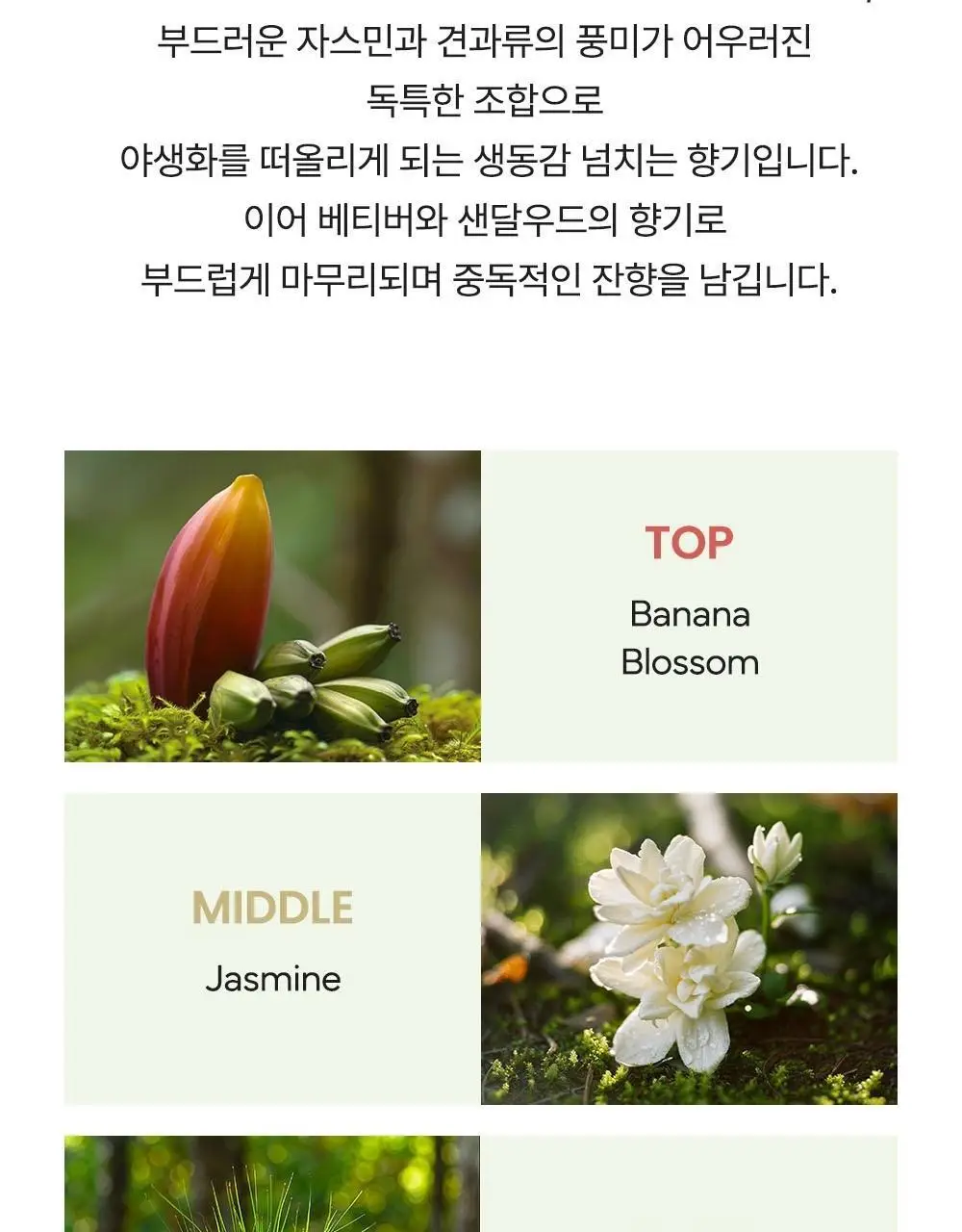 마크제이콥스 10ml 트리오 기획(데이지 EDT+와일드 EDP+와일드 인텐스 EDP) 상세페이지 17