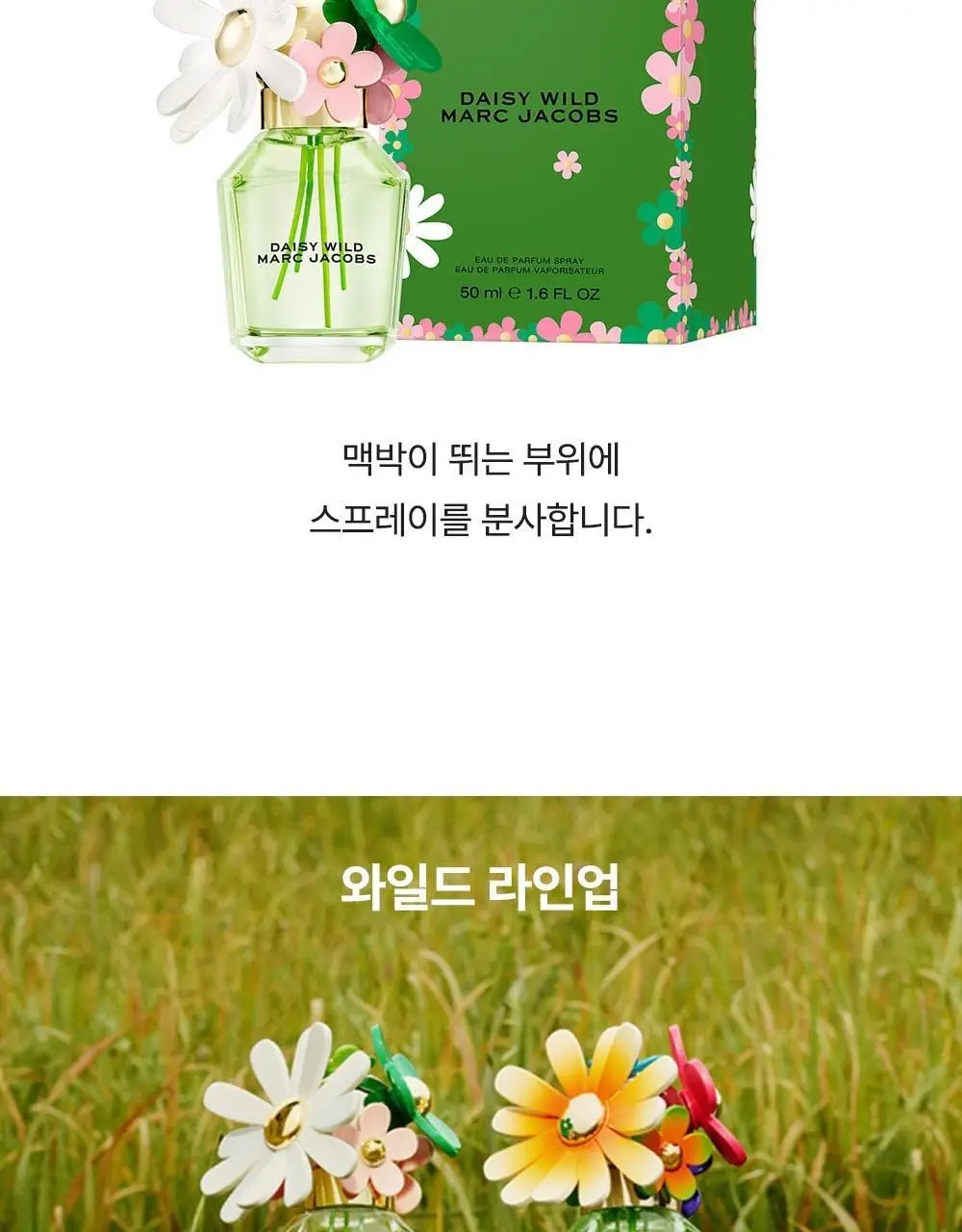 마크제이콥스 10ml 트리오 기획(데이지 EDT+와일드 EDP+와일드 인텐스 EDP) 상세페이지 20